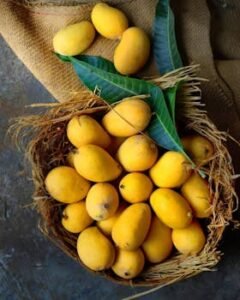 Fresh ripe yellow mangoes in straw basket on rustic burlap, top view.